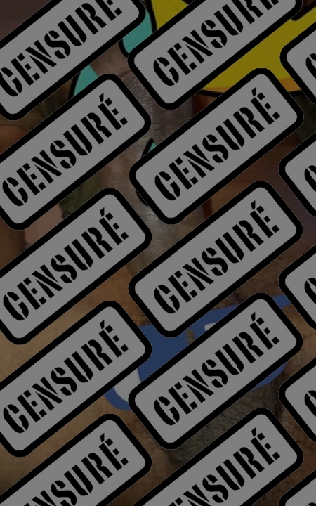 Photo ads/2616000/2616911/a2616911_censure_vol.jpg : métis mince tbm pr femme