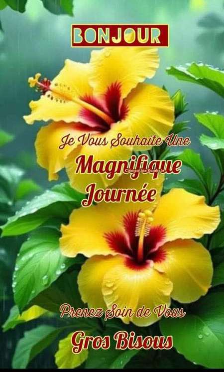 Photo ads/2617000/2617264/a2617264.jpg : Rencontrer des femmes pour du bonheur et le plaisi