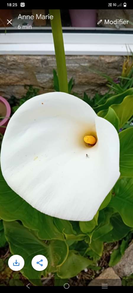 Photo ads/2619000/2619896/a2619896.jpg : Homme pose pour photos, vidéos.