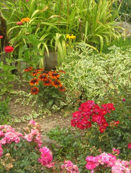 Photo ads/2624000/2624514/a2624514.jpg : H pour relation complice avec un couple coquin