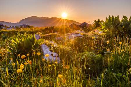 Photo ads/2625000/2625213/a2625213.jpg : H courtois pour une relation suivie avec une F