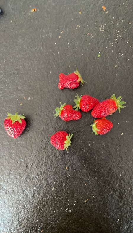 Photo ads/2625000/2625942/a2625942.jpg : Recherche accompagnatrice de charme