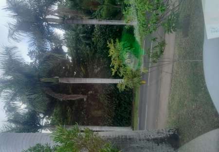 Photo ads/2628000/2628058/a2628058.jpg : cherche h en couple pr branle sur photo de nos dam