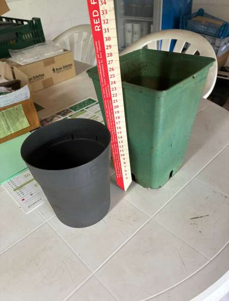 Photo ads/2630000/2630218/a2630218.jpg : Recherche une assistante administratif