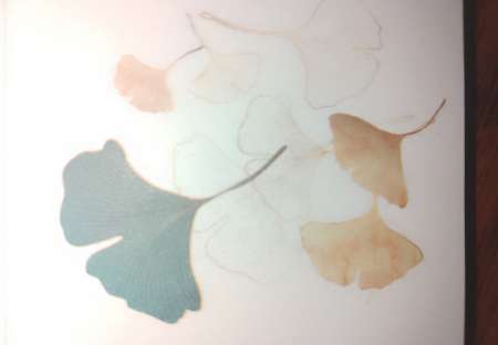 Photo ads/2630000/2630618/a2630618.jpg : Homme rech une femme pour rencontre en journée