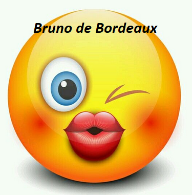 Photo ads/2630000/2630970/a2630970.png : Bruno Bi PASSIF pour HOMMES ou JEUNES HOMMES ACTIF