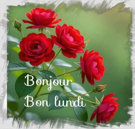 Photo ads/2632000/2632188/a2632188.jpg : Je suis un homme Qui Veux rencontrer des femmes