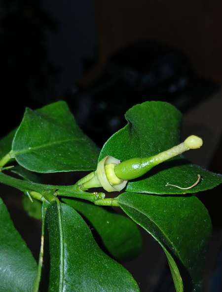 Photo ads/2632000/2632212/a2632212.jpg : Homme mur pour rencontre sexe.