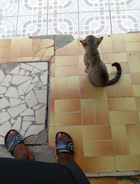 Photo ads/2632000/2632436/a2632436.jpg : Rencontre femme.....