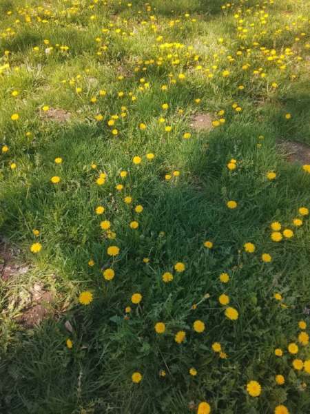 Photo ads/2633000/2633617/a2633617.jpg : Jolie femme coquine cherche rencontre