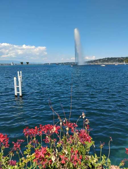 Photo ads/2634000/2634526/a2634526.jpg : Dominant actif BM cool