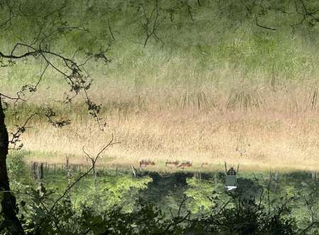 Photo ads/2635000/2635584/a2635584.jpg : Recherche femme 50 à 70 ans pour rencontre coquine