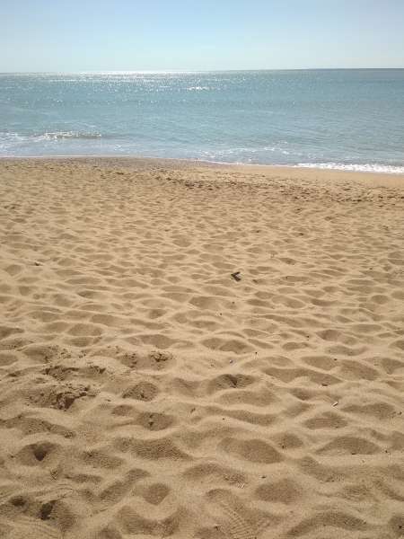 Photo ads/2635000/2635779/a2635779.jpg : Cherche femme pour moment complice