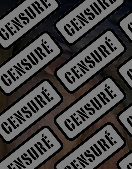 Photo ads/2636000/2636563/a2636563_censure_vol.jpg : Pour mesdames dans le respect et discrétion