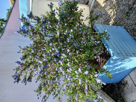 Photo ads/2638000/2638496/a2638496.jpg : Amitiés avec femmes plus de 60ans