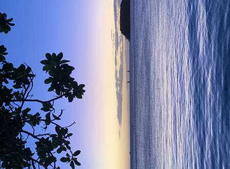 Photo ads/2642000/2642416/a2642416.jpg : Actuellement en Martinique