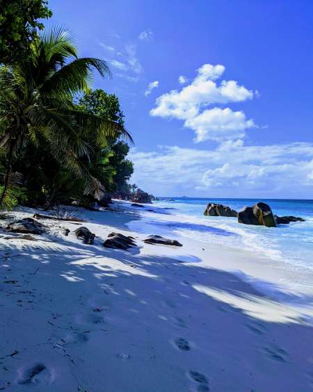 Photo ads/2643000/2643678/a2643678.jpg : Envie d'une dominatrice