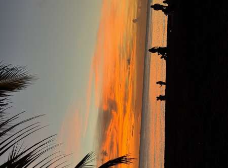 Photo ads/2643000/2643998/a2643998.jpg : Massage et relaxation