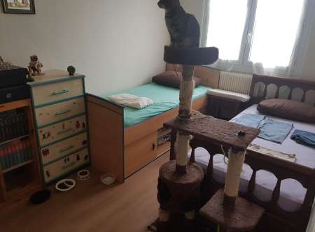 Photo ads/2644000/2644605/a2644605.jpg : Pr JF,F cherchant où dormir et de la stabilité