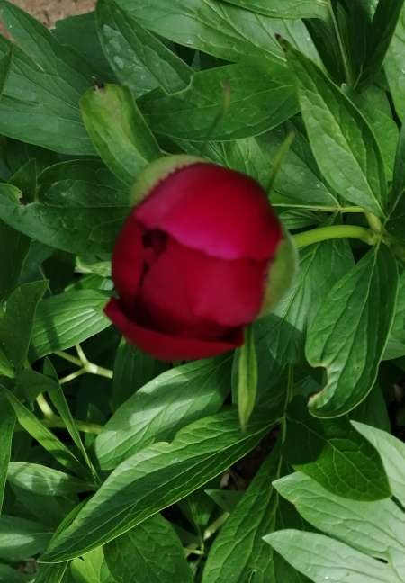 Photo ads/2645000/2645690/a2645690.jpg : Rencontre amicale avec femme