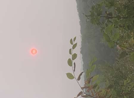 Photo ads/2645000/2645894/a2645894.jpg : Massage naturiste complet