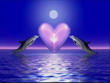 Photo ads/2646000/2646725/a2646725.jpg : Rencontre dans le respect et discrétion