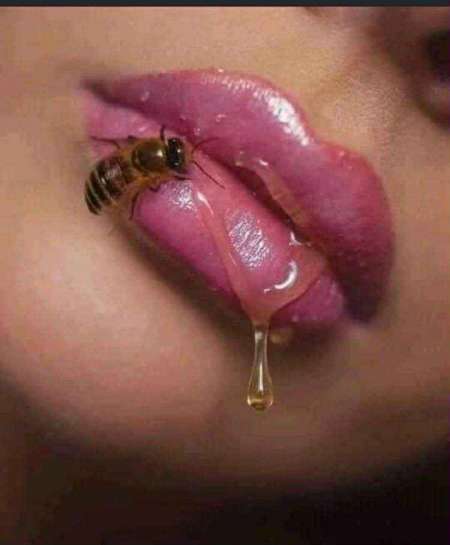 Photo ads/2650000/2650269/a2650269.jpg : Aide personne dans le besoin