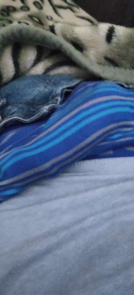 Photo ads/2652000/2652100/a2652100.jpg : Bjr cherche une femme de 20 ans a 50 ans