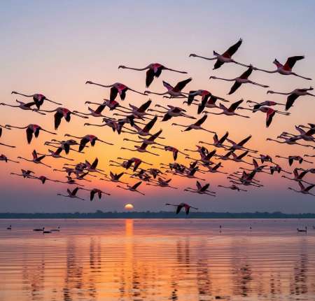 Photo ads/2652000/2652238/a2652238.jpg : Pour femme marier ou non