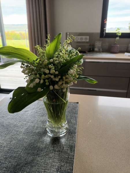 Photo ads/2652000/2652654/a2652654.jpg : Senior recherche une Femme employée de maison.  