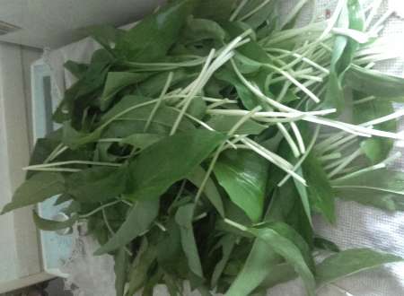 Photo ads/2652000/2652969/a2652969.jpg : ail des ours frais ou déshydraté