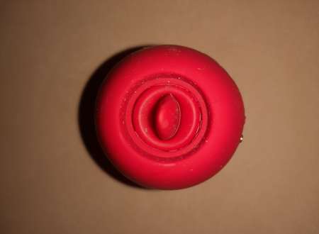 Photo ads/2653000/2653508/a2653508.jpg : La rose du plaisir et des sens