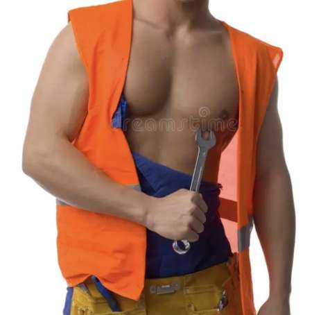 Photo ads/2653000/2653681/a2653681.jpg : Bricolage, tonte, petits travaux