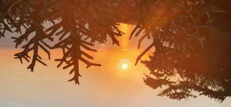 Photo ads/2654000/2654438/a2654438.jpg : HOMME SOIXANTAINE CHERCHE FEMME 45 70 .