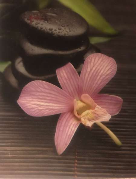 Photo ads/2654000/2654890/a2654890.jpg : Centre bien etre cherche masseuse