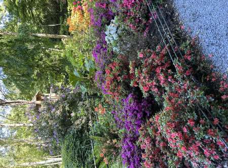 Photo ads/2656000/2656185/a2656185.jpg : Femme bien dans sa tête