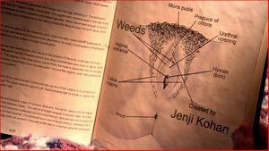 Photo ads/2656000/2656284/a2656284.png : Vous êtes friands de Cunnilingus lâchez vous.