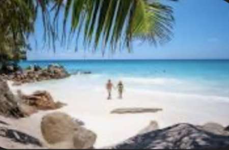 Photo ads/2658000/2658112/a2658112.jpg : F ch h organisateur pluralité