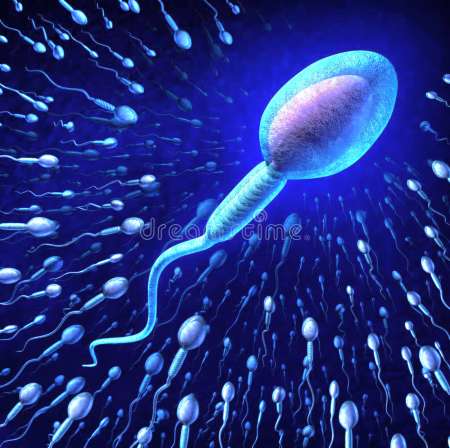 Photo ads/2659000/2659589/a2659589.jpg : Marseillais donneur spermatozoides aux lesbiennes