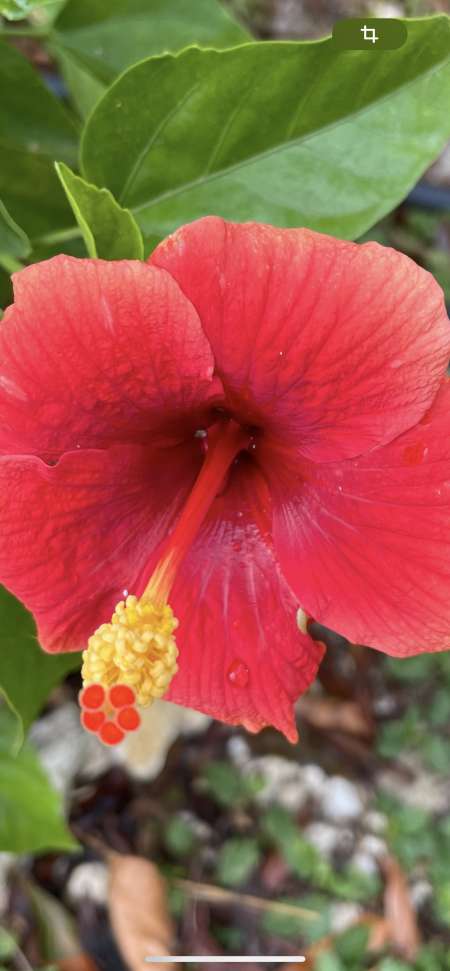 Photo ads/747000/747297/a747297.png : Recherche une partenaire spécialisé 😉