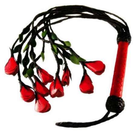 Photo ads/783000/783141/a783141.jpg : Maitre Pour Femme ou jf